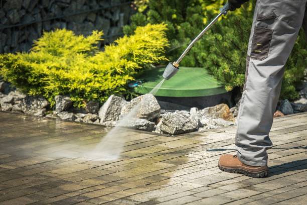Trusted Piedmont, AL Pressure Washing Services Experts